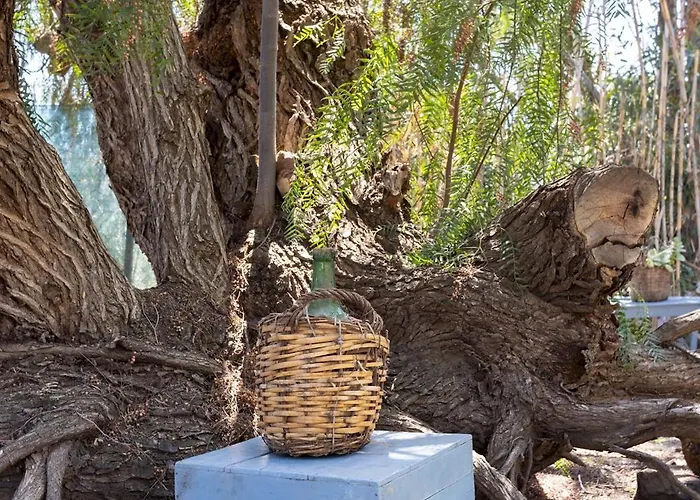 Apartament Home2book Garden Haven Bbq Classic Cozy