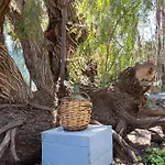 公寓 Home2book Garden Haven Bbq Classic Cozy