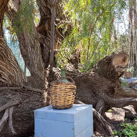 شقة Home2book Garden Haven Bbq Classic Cozy